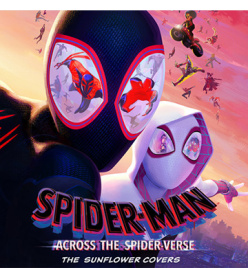 Spider-man: Across The Spider-verse / Spider-man: Into The Spider-verse:  2-movie Collection (dvd) : Target