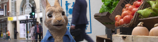 PETER RABBIT 2™  Sony Pictures Entertainment